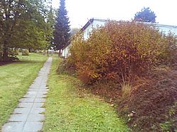 Gartenarbeiten