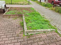 Gartenarbeiten