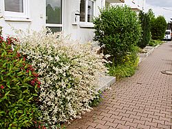 Gartenarbeiten