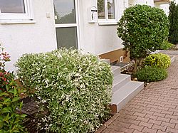 Gartenarbeiten