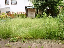 Gartenarbeiten